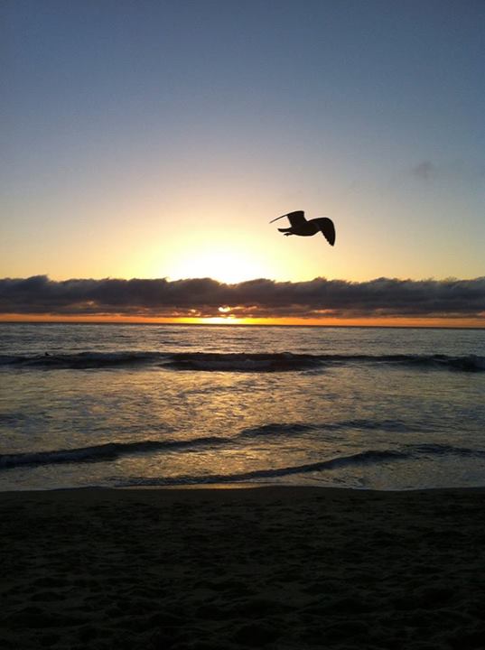 Carlsbad, California